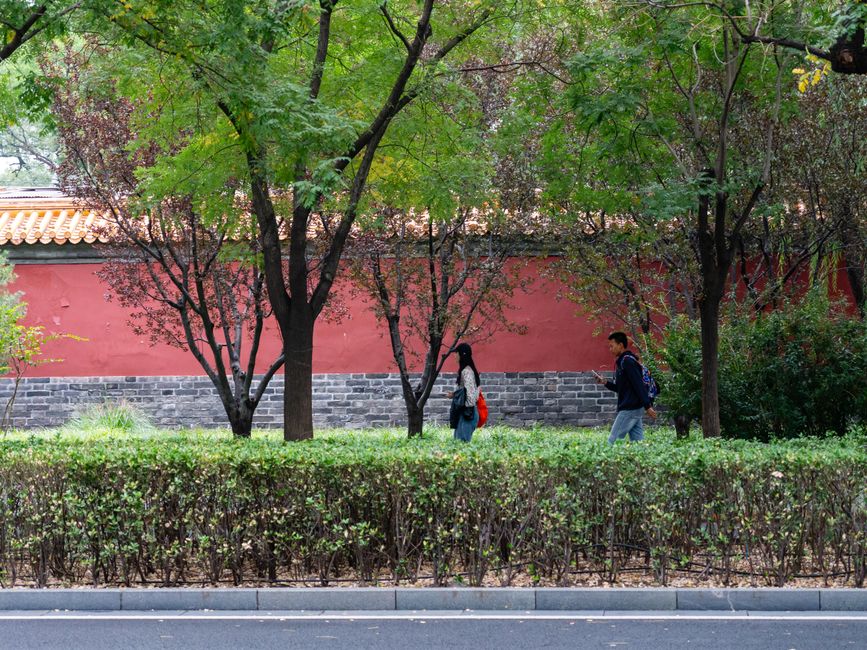 Lama Temple (Yonghegong) 雍和宫
