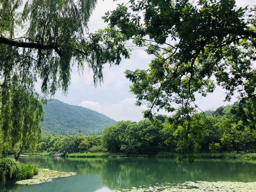 Xixi National Wetland Park 西溪国家湿地公园