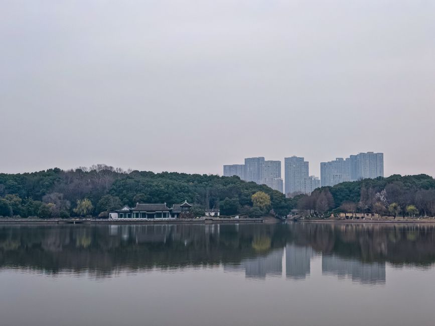 Dashu Mountain Forest Park 大蜀山国家森林公园
