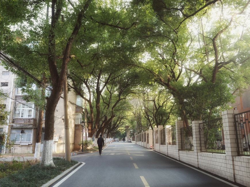 Huaihe Road Pedestrian Street 淮河路步行街
