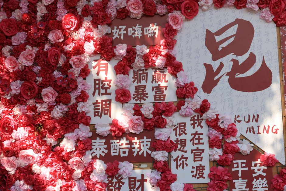 Dounan Flower Market 斗南花市