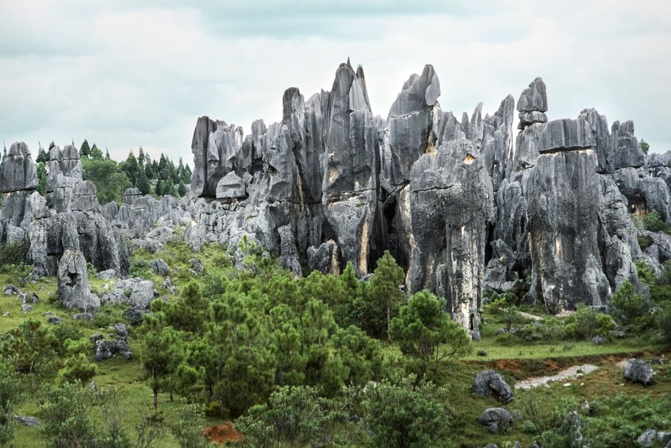 Stone Forest 石林