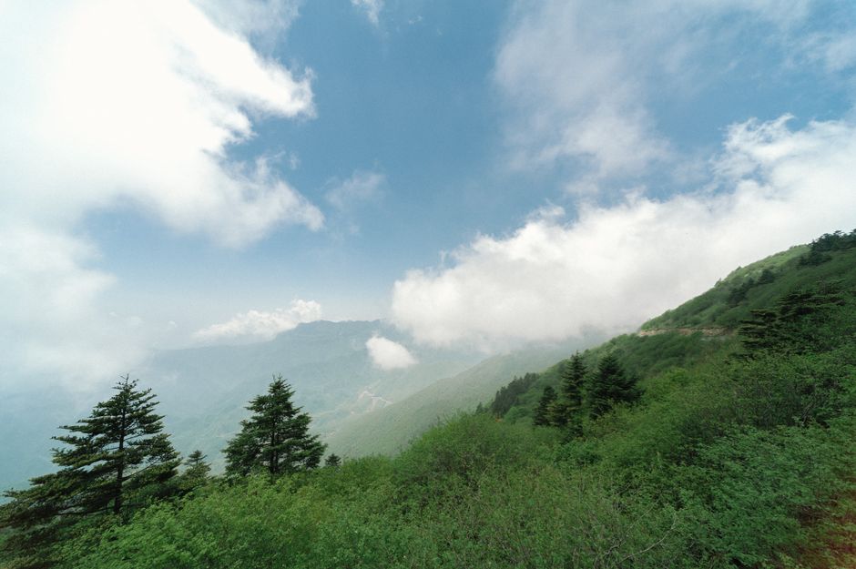 Xinglong Mountain Reserve 兴隆山自然保护区