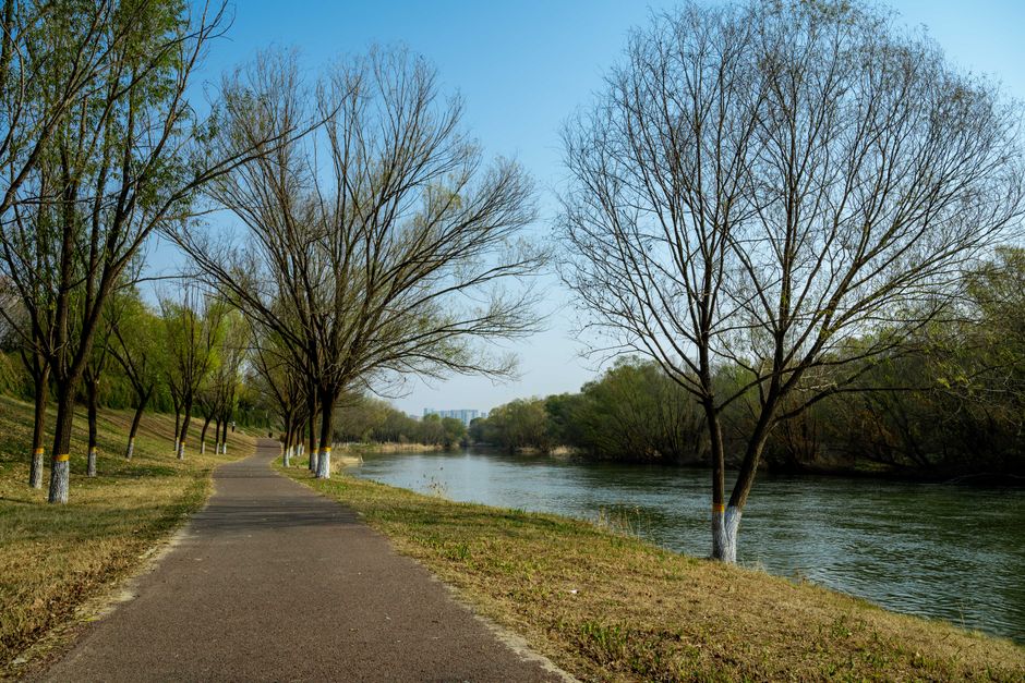 Yellow River Corridor 黄河风情线