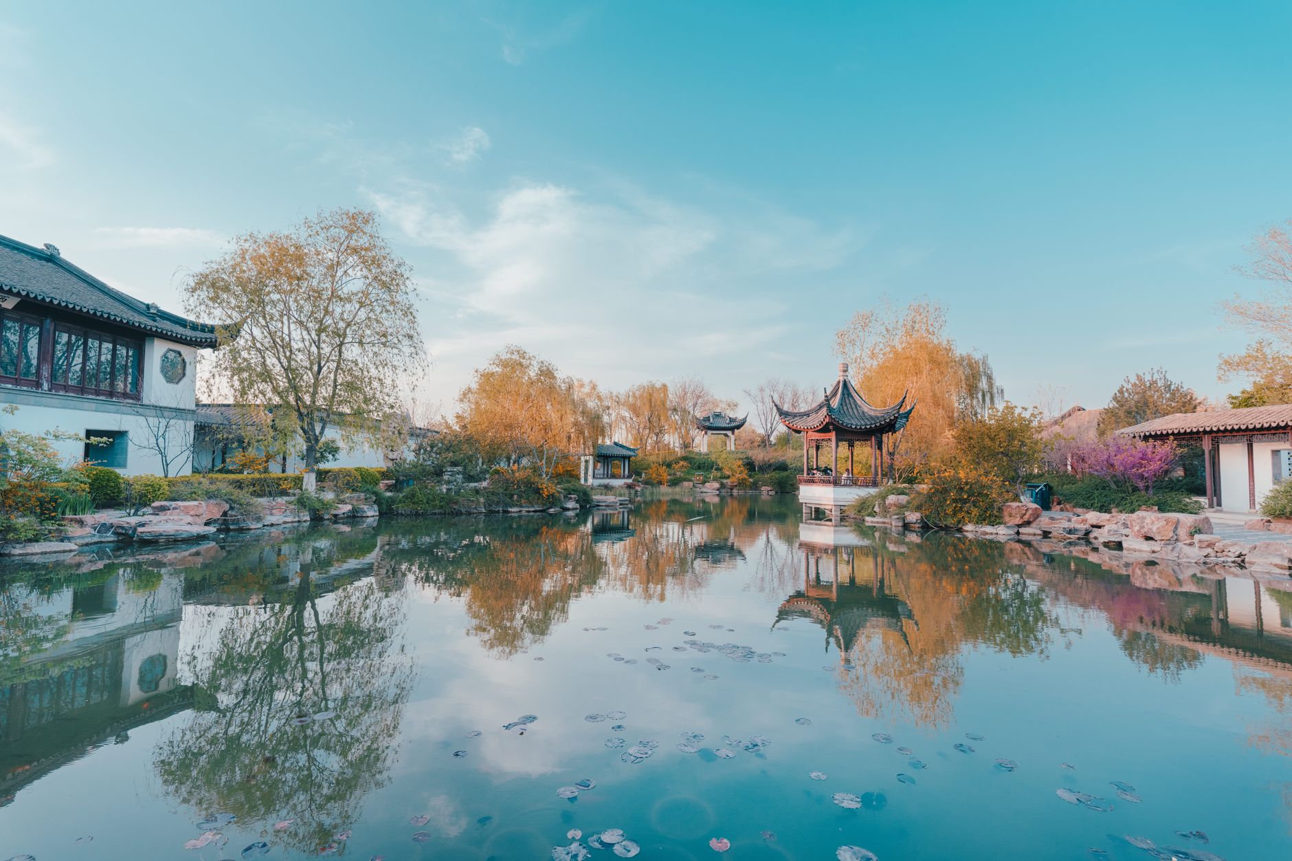 Humble Administrator's Garden 拙政园