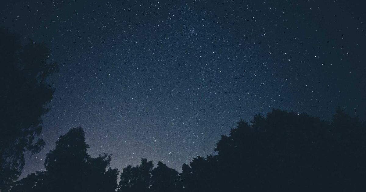 What Makes a Stock a 10x Candidate? I Asked AI to Help Me Build a Filter