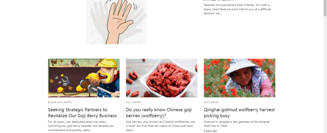 My Goji Berry Website Ran for 6 Years and Never Made Money — Here’s What I Actually Learned
