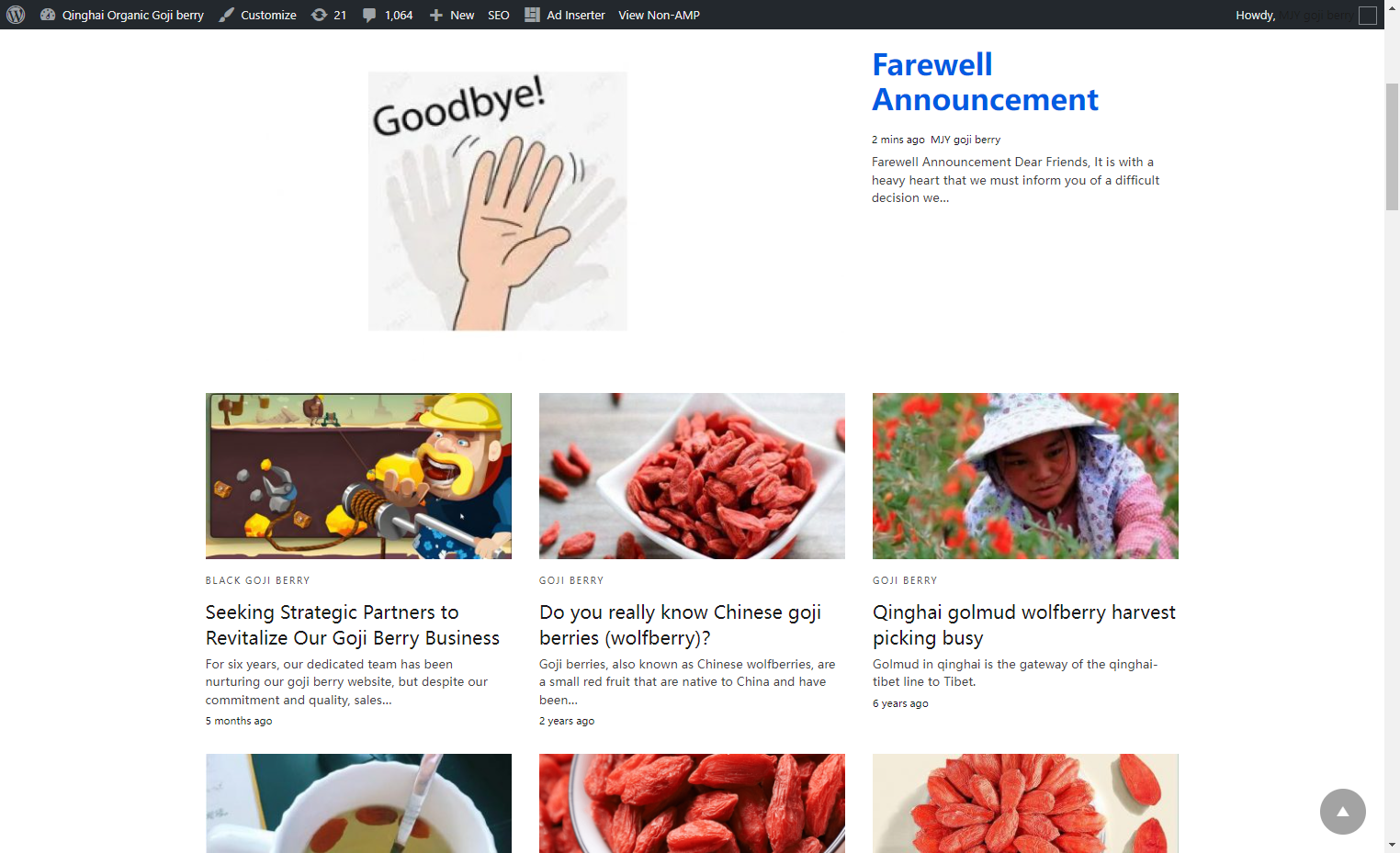 My Goji Berry Website Ran for 6 Years and Never Made Money — Here’s What I Actually Learned